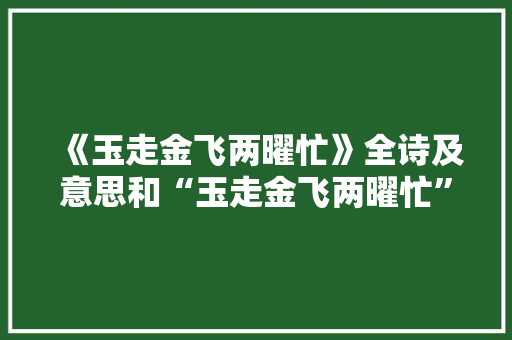 《玉走金飞两曜忙》全诗及意思和“玉走金飞两曜忙”的拼音注释 诗词鉴赏