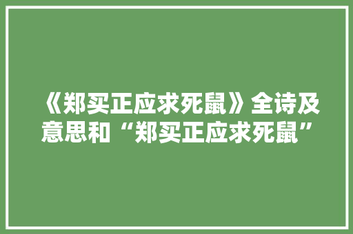 《郑买正应求死鼠》全诗及意思和“郑买正应求死鼠”的拼音注释