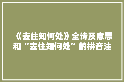 《去住知何处》全诗及意思和“去住知何处”的拼音注释