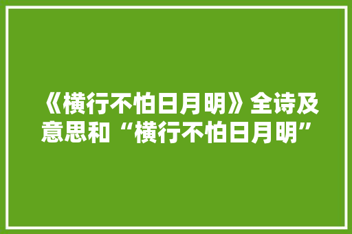 《横行不怕日月明》全诗及意思和“横行不怕日月明”的拼音注释