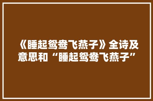 《睡起鸳鸯飞燕子》全诗及意思和“睡起鸳鸯飞燕子”的拼音注释