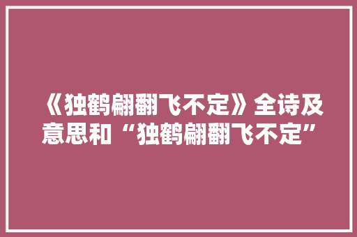 《独鹤翩翻飞不定》全诗及意思和“独鹤翩翻飞不定”的拼音注释