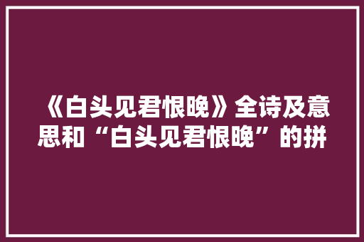 《白头见君恨晚》全诗及意思和“白头见君恨晚”的拼音注释