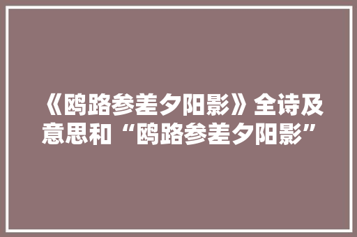 《鸥路参差夕阳影》全诗及意思和“鸥路参差夕阳影”的拼音注释