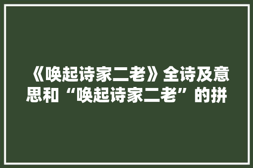 《唤起诗家二老》全诗及意思和“唤起诗家二老”的拼音注释